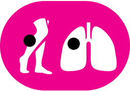 PE/DVT logo