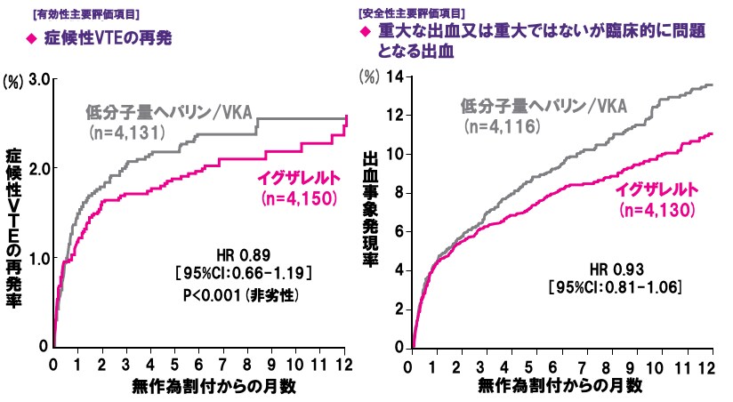 主解析結果