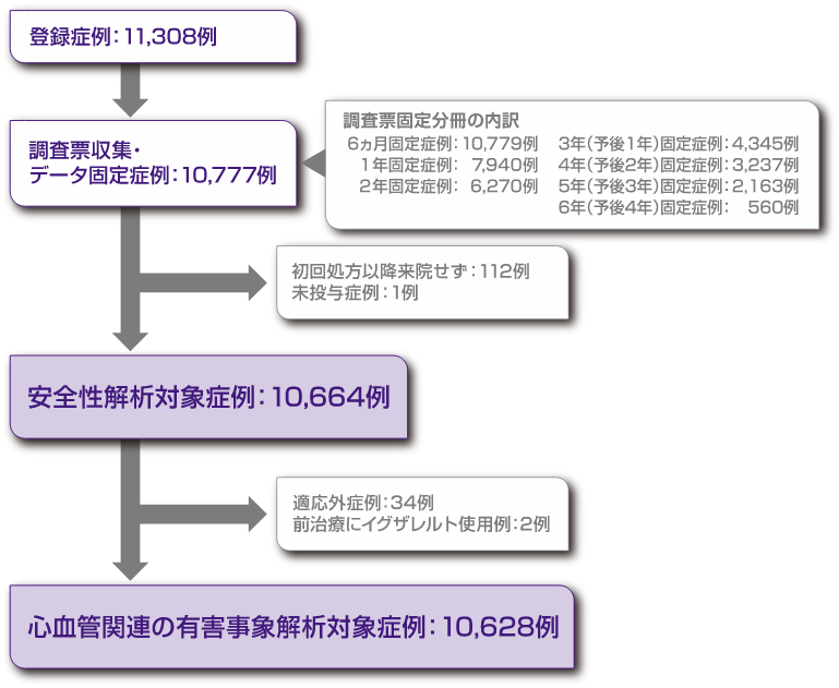 症例構成