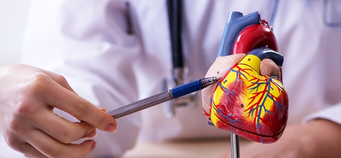 Xarelto Article