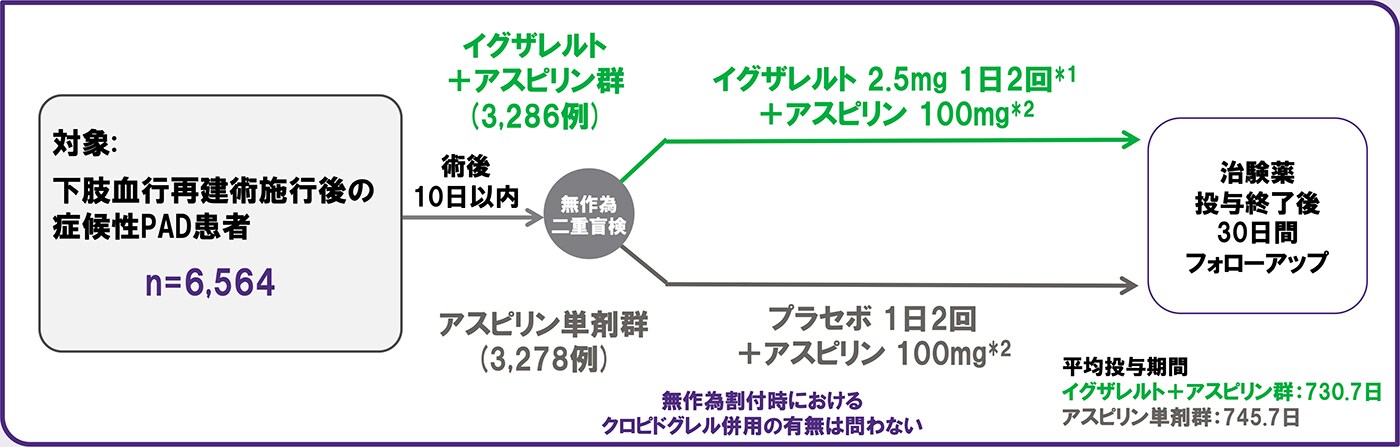試験概要