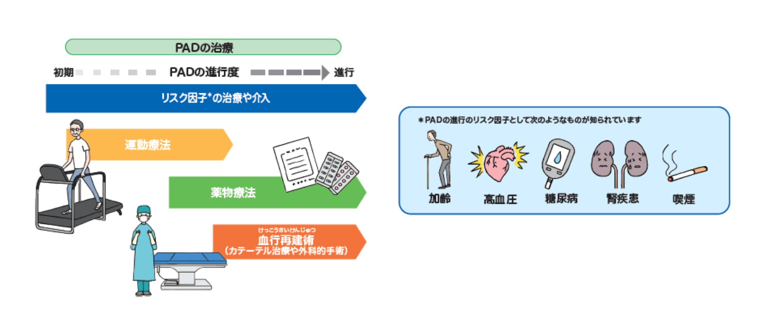 Amazon.co.jp: 末梢血管疾患診療マニュアル : 東谷 迪昭, 尾原