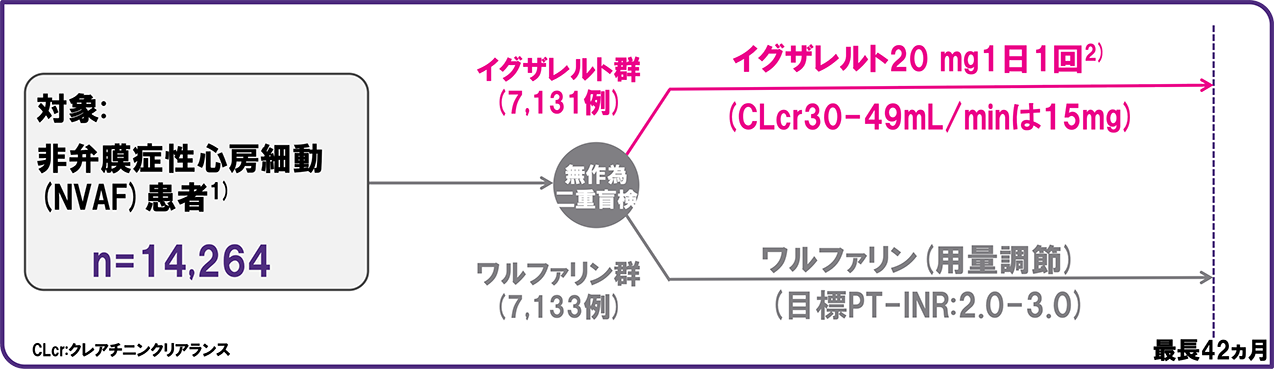 ROCKET-AF：試験デザインの図
